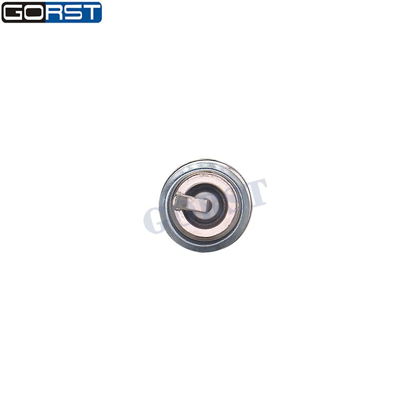 10Pcs M14x1.25 Double Iridium  - огляд і ціна Bosch Spark Plug Iridium